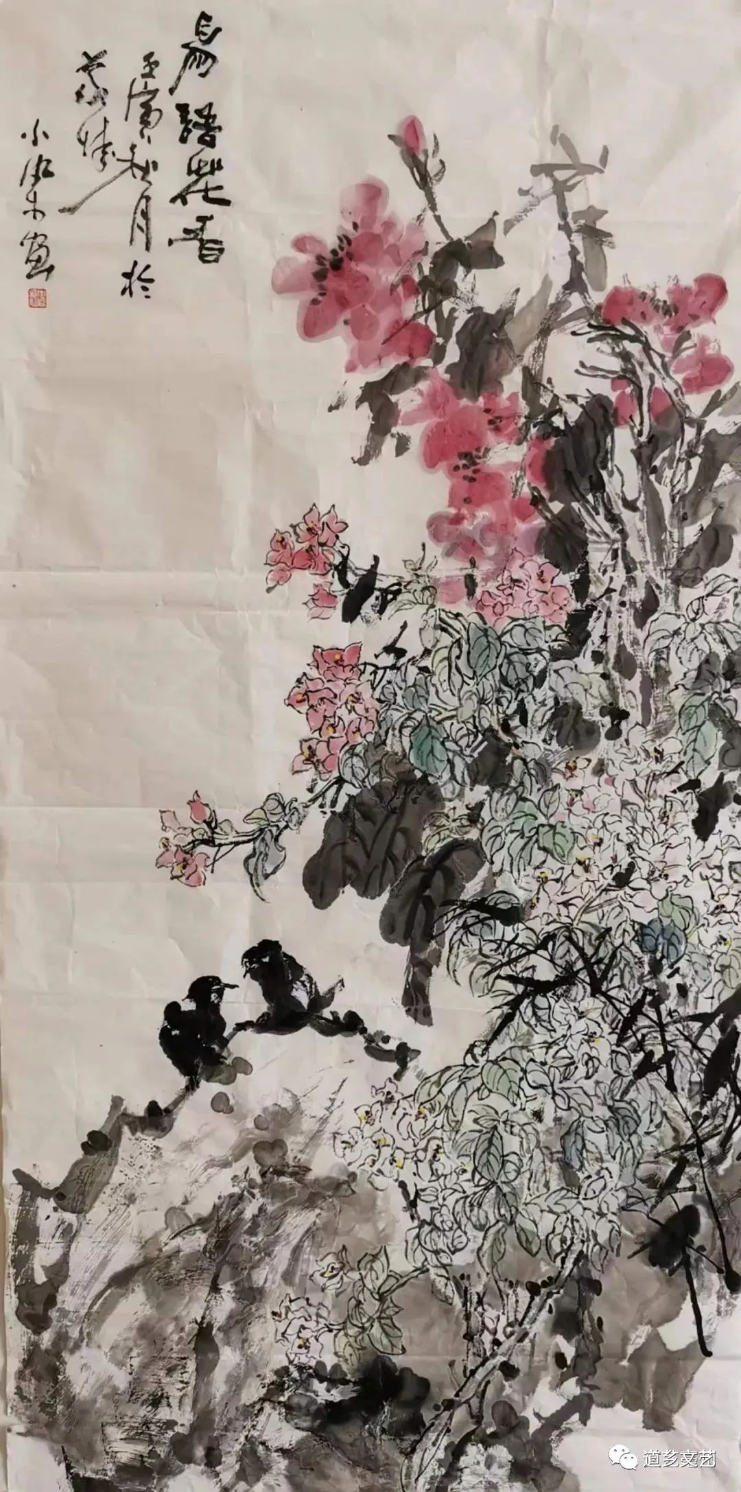 图片
